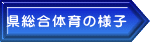 県総合体育の様子