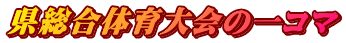 県総合体育大会の一コマ